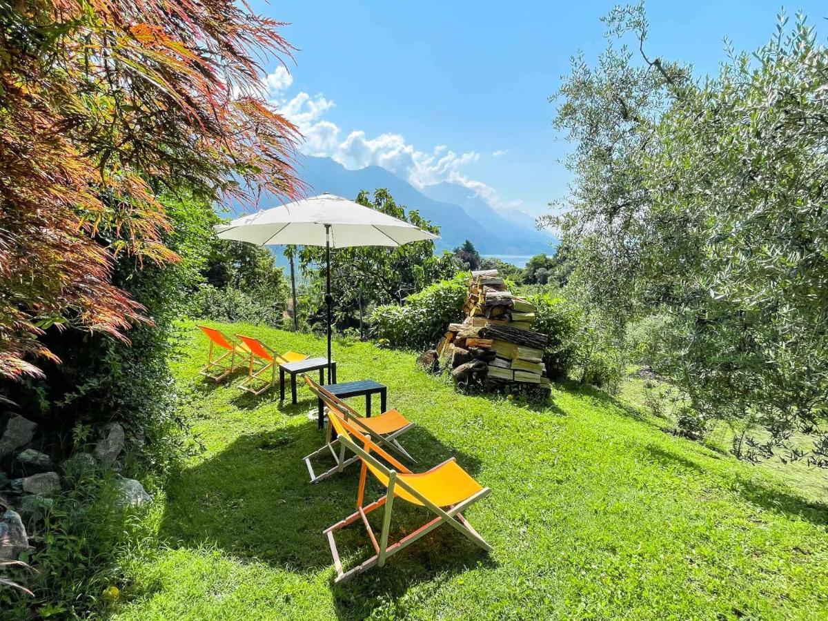Breva Loft Tra Gli Ulivi Ed Il Lago Bellagio Dış mekan fotoğraf