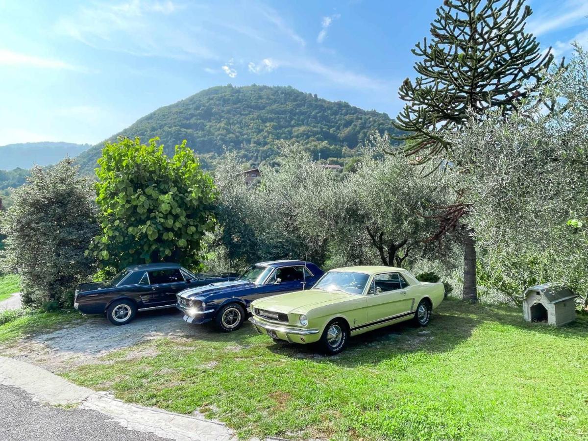 Breva Loft Tra Gli Ulivi Ed Il Lago Bellagio Dış mekan fotoğraf